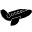 Mystery Flights Icon