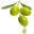 The Oil and Vinegar Cellar Icon