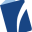 Visa Network Icon