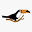 Wilderness Travel Icon