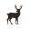 Westphal Mansion Inn Icon