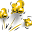 Popped Stores Gourmet Popcorn Icon