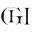 Gabriela Hearst Icon