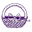 Sensational Baskets Icon