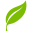 Nature's Eats Icon