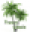 Travel Oasis Icon