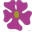 Watsons Flowers Icon