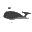 Blowholes Icon