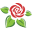Harbor Rose Icon
