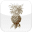Southern Wind Inn Icon