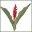 Holualoa Inn Icon
