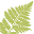 Volcano Rainforest Retreat Icon