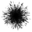 TextBoom Icon