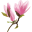 Magnolia Springs Icon