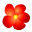Hibiscus House Icon