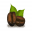 Puerto Rico Coffee Shop Icon