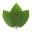 Phoria Kratom Icon