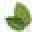 My Clean Kratom Icon