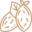 Wholesale Nuts and Dried Fruit Icon