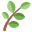 Centuries Harvest Kratom Icon