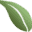 Save on Kratom Icon