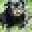 Odus Quality Botanicals Icon