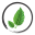 Botanical Remedies Icon