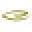 EVGE US Icon