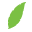 Eco-Max Icon