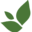 City Maid Green Icon
