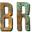 Bonnie Raitt Icon