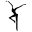 Dave Matthews Band Icon