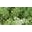 EatZaatar.com Icon