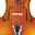 La Crosse Symphony Orchestra Icon