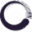 Orpheus Chamber Orchestra Icon
