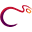 Carmel Symphony Orchestra Icon
