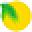Palm Beach Vacation Rentals Icon