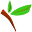 JeliFresh Icon