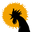 Black Rooster Food Icon