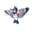 Kingfisher Vacations Icon