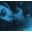 Bebel Gilberto Icon
