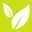 Herbal Health CBD Icon