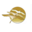 New Spirit Vacation Homes Icon