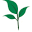 Lafayette Florist Icon