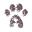 4Paws Icon