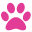 PETtrac Pet Insurance Icon