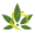 Honest CBD Co Icon