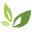 Terra Wellness Icon