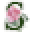 Solim Flower Icon