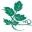 Don's Own Flower Shop Icon